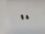 Show details for SilFlow™ Nuts 0.36 mm OD - 1.07 OD Pk 10 Picture of SilFlow™ Nuts 0.36 mm OD - 1.07 OD Pk 10